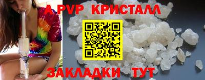 гидра Будённовск