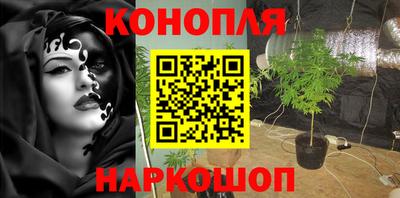 дмт Бузулук