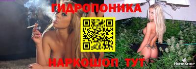 гидра Будённовск
