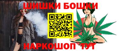 гидра Будённовск