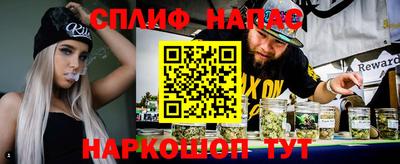 гидра Будённовск
