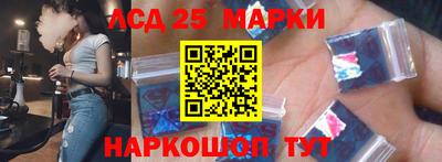 гидра Будённовск