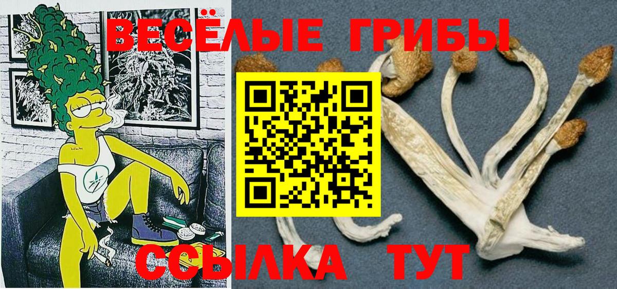 Галлюциногенные грибы Psilocybine cubensis Архангельск